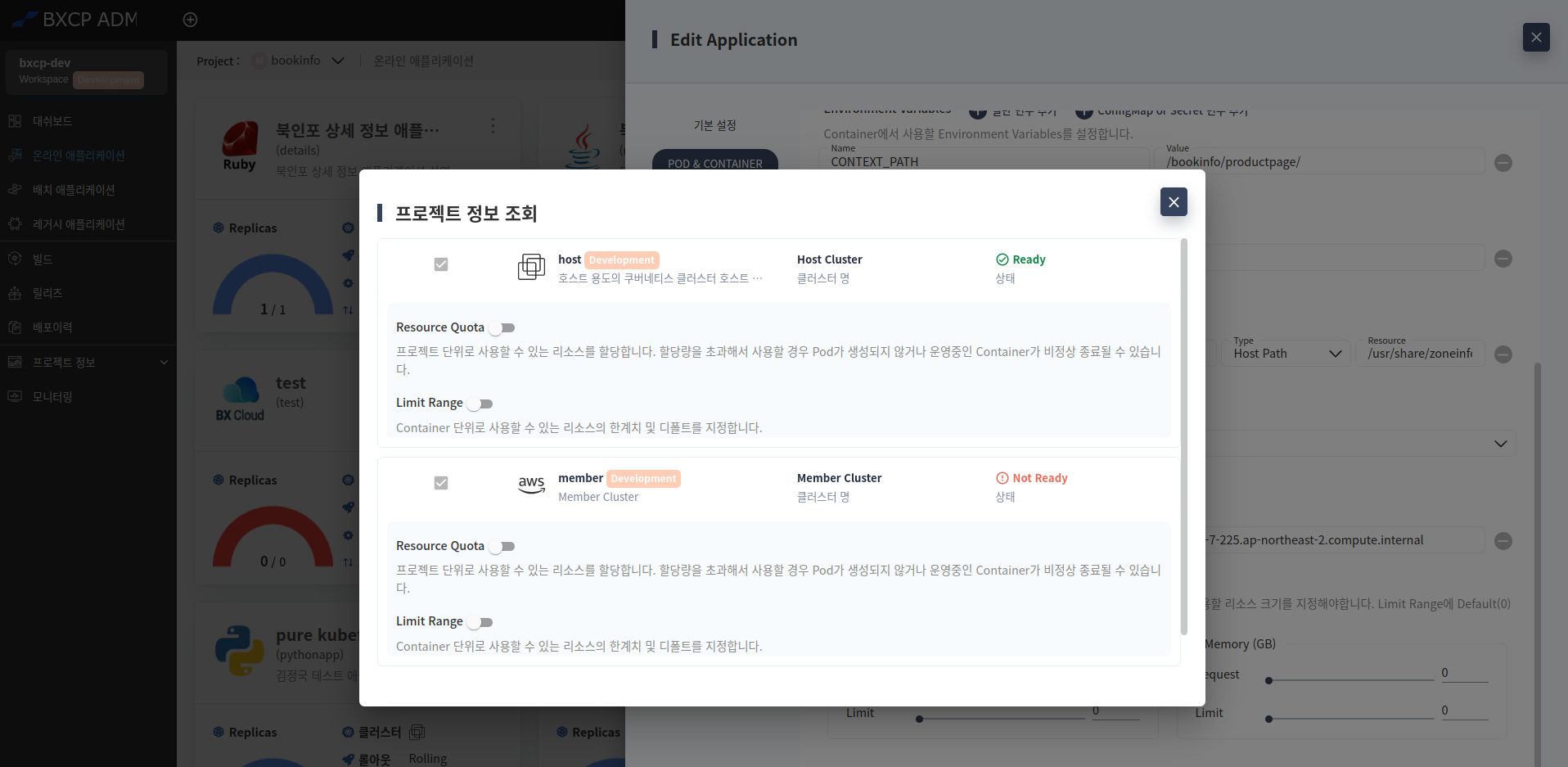 온라인 애플리케이션 생성 - POD & CONTAINER 설정 - Resource Quota - 프로젝트 정보