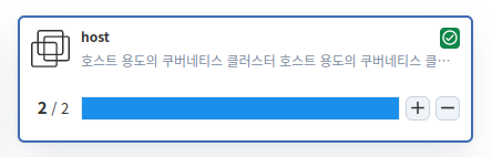 온라인 애플리케이션 상세 - BLUE 버전만 배포된 상태에 클러스터 현황