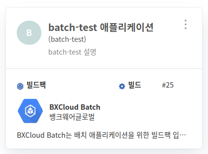 배치 애플리케이션 현황