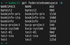 kubectl 커맨드로 FederatedNamespace 리소스 조회결과