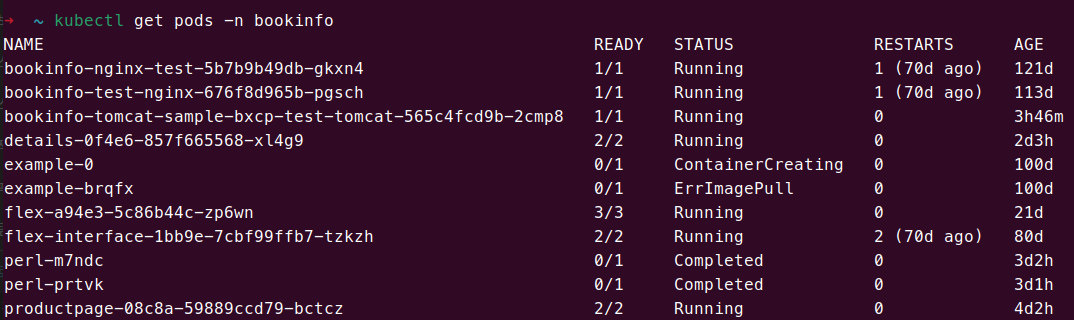 kubectl get pods 예시